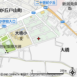 千葉県松戸市二十世紀が丘梨元町38周辺の地図