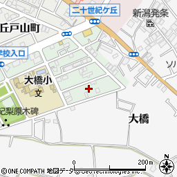 千葉県松戸市二十世紀が丘梨元町41周辺の地図