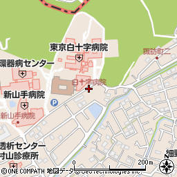 白十字病院周辺の地図