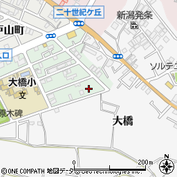 千葉県松戸市二十世紀が丘梨元町46周辺の地図