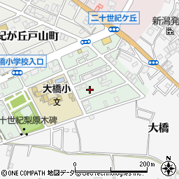 千葉県松戸市二十世紀が丘梨元町62周辺の地図