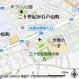 千葉県松戸市二十世紀が丘梨元町6周辺の地図