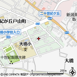 千葉県松戸市二十世紀が丘梨元町73周辺の地図