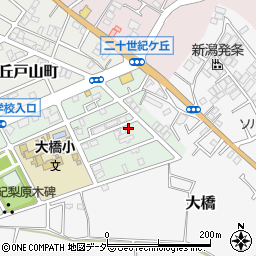 千葉県松戸市二十世紀が丘梨元町55周辺の地図