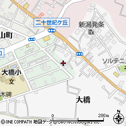 千葉県松戸市二十世紀が丘梨元町119周辺の地図