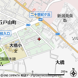 千葉県松戸市二十世紀が丘梨元町54周辺の地図