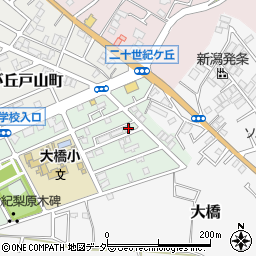 千葉県松戸市二十世紀が丘梨元町75周辺の地図