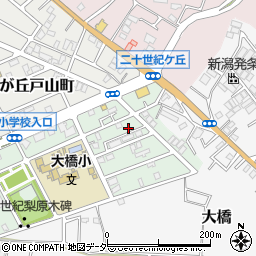 千葉県松戸市二十世紀が丘梨元町79周辺の地図