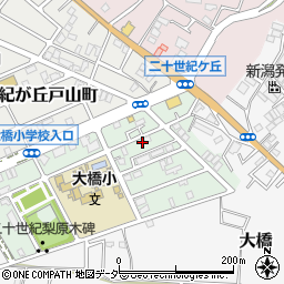 千葉県松戸市二十世紀が丘梨元町85周辺の地図