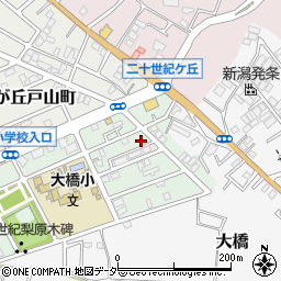千葉県松戸市二十世紀が丘梨元町78周辺の地図