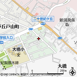千葉県松戸市二十世紀が丘梨元町77周辺の地図