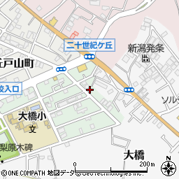 千葉県松戸市二十世紀が丘梨元町118周辺の地図