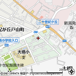 千葉県松戸市二十世紀が丘梨元町106周辺の地図
