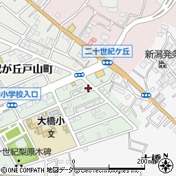 千葉県松戸市二十世紀が丘梨元町107周辺の地図