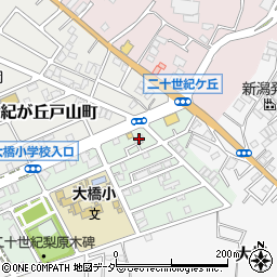千葉県松戸市二十世紀が丘梨元町101周辺の地図