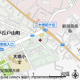 千葉県松戸市二十世紀が丘梨元町113周辺の地図