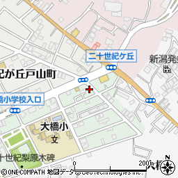 千葉県松戸市二十世紀が丘梨元町102周辺の地図