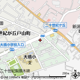 千葉県松戸市二十世紀が丘梨元町97周辺の地図