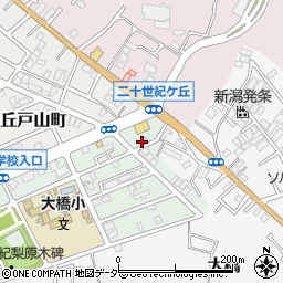 千葉県松戸市二十世紀が丘梨元町114周辺の地図
