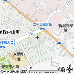千葉県松戸市二十世紀が丘梨元町112周辺の地図