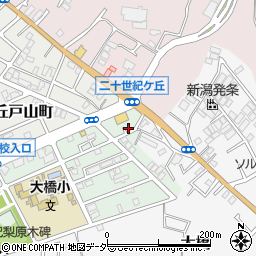 千葉県松戸市二十世紀が丘梨元町117周辺の地図