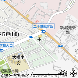 千葉県松戸市二十世紀が丘梨元町111周辺の地図
