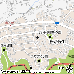 〒359-1132 埼玉県所沢市松が丘の地図