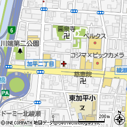 ミスタータイヤマン環七加平店周辺の地図
