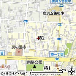 東京都足立区椿2丁目周辺の地図