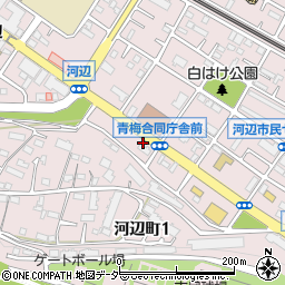 伝説のすた丼屋青梅河辺店周辺の地図