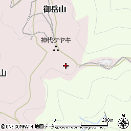 武蔵御岳講真神部周辺の地図