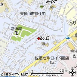 千葉県松戸市松戸新田550-72周辺の地図