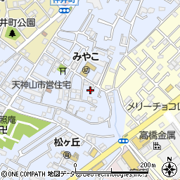 千葉県松戸市松戸新田529-3周辺の地図