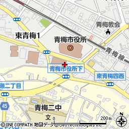 東京都青梅市東青梅1丁目13周辺の地図