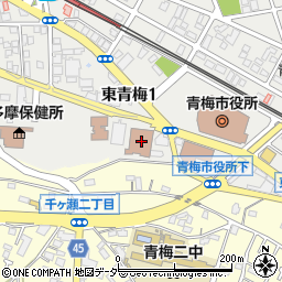 東京都青梅市東青梅1丁目177-3周辺の地図