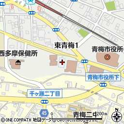 東京都青梅市東青梅1丁目177周辺の地図