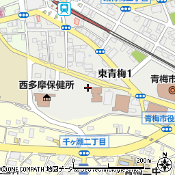 東京都青梅市東青梅1丁目167-1周辺の地図