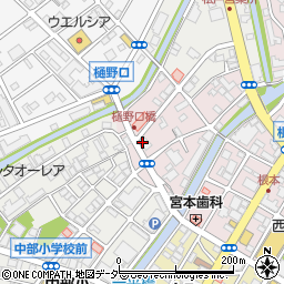 千葉県松戸市根本66周辺の地図