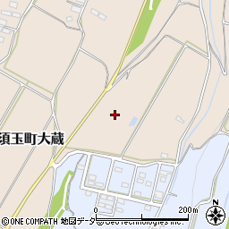 山梨県北杜市須玉町大蔵1884周辺の地図