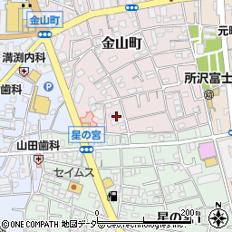 埼玉県所沢市金山町3周辺の地図