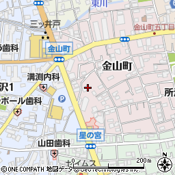 埼玉県所沢市金山町9周辺の地図
