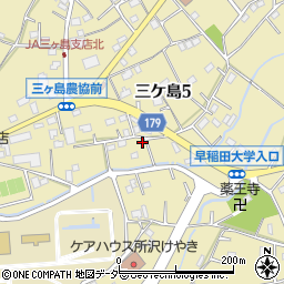 埼玉県所沢市三ケ島5丁目1256周辺の地図