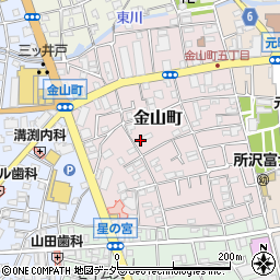 埼玉県所沢市金山町10-9周辺の地図