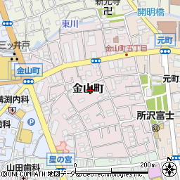 埼玉県所沢市金山町周辺の地図