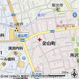 埼玉県所沢市金山町13-10周辺の地図