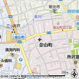 埼玉県所沢市金山町13-9周辺の地図