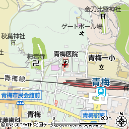 しんわ薬局青梅店周辺の地図