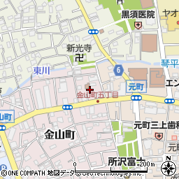 埼玉県所沢市金山町18周辺の地図