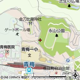 東京都青梅市本町217-2周辺の地図