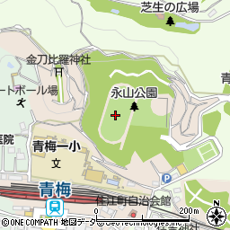 東京都青梅市本町217周辺の地図